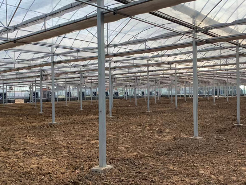 玻璃溫室